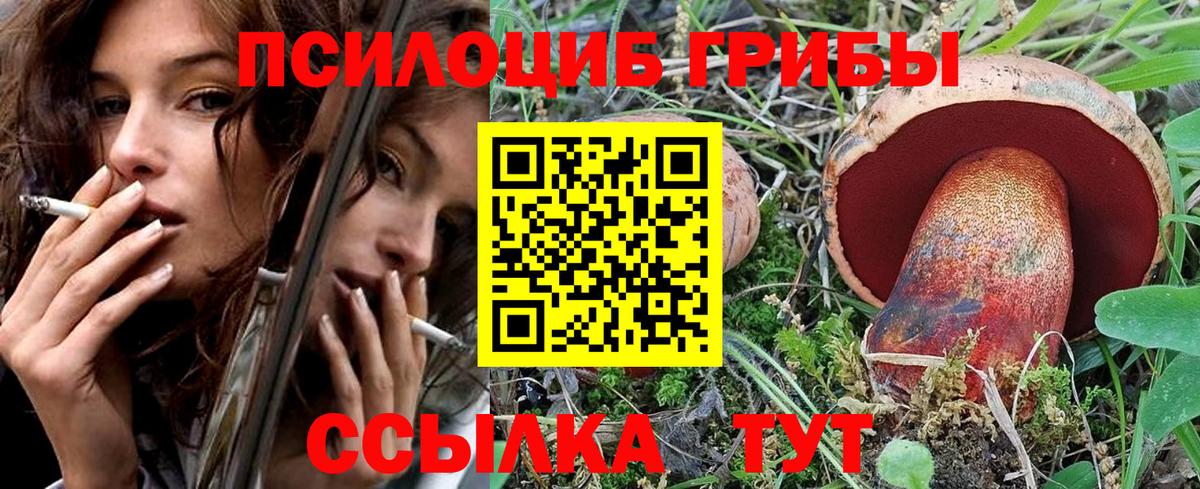 Псилоцибиновые грибы Magic Shrooms Свободный