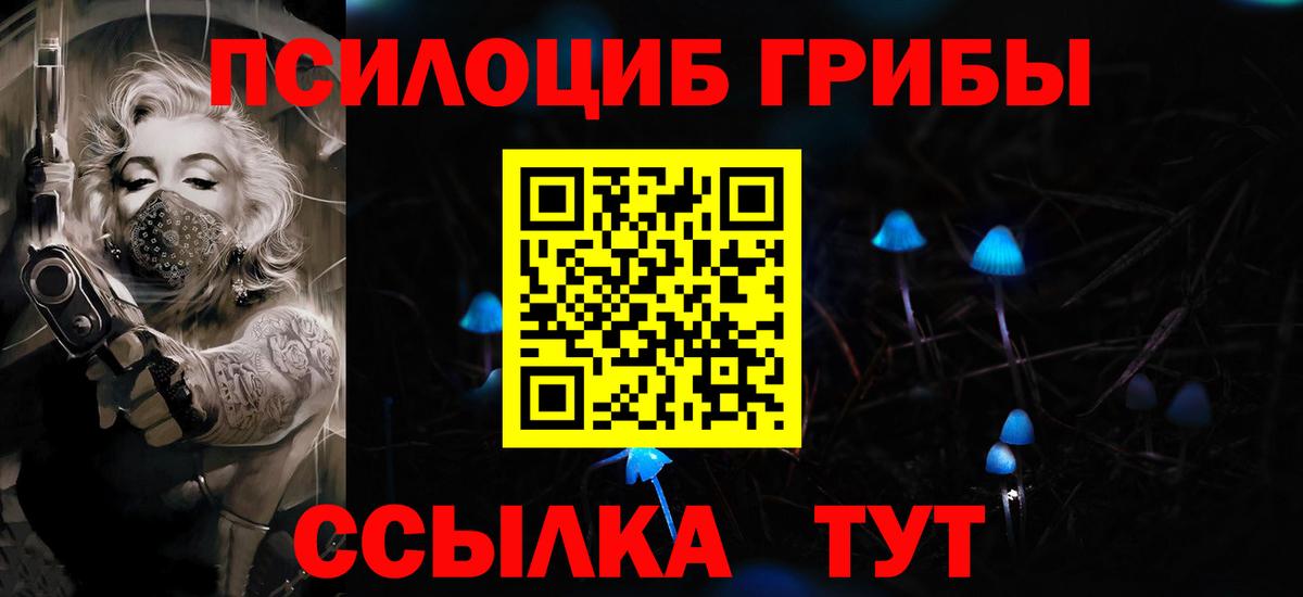 Свободный  Псилоцибиновые грибы Psilocybe  Вход с VPN 